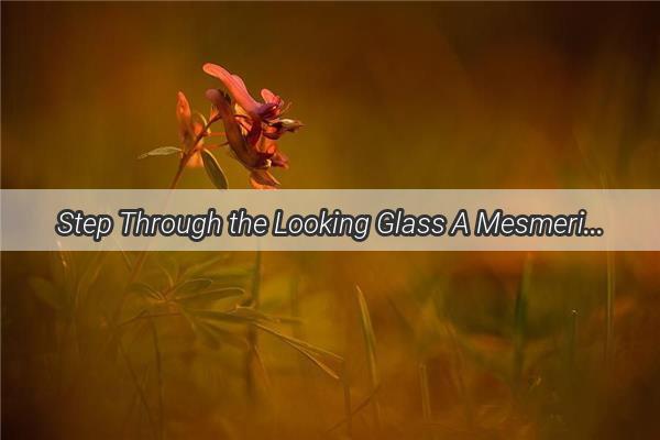 Step Through the Looking Glass A Mesmerizing Journey into the Enchanted World of Alices Dreamlike Effects